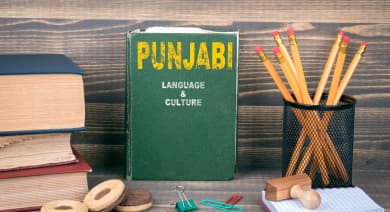 Punjabi & Hindi